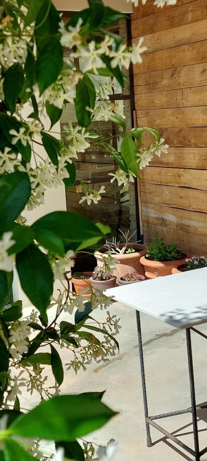 Bed and Breakfast Mas Ferran Adults Only Pals Exteriér fotografie